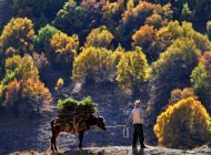 Epson Türkiye Fotoğraf Yarışmasının Kazananı Ahmet Fatih Sönmez Oldu