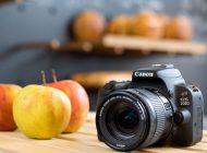 Canon EOS 200D : Hafif ve Hızlı Fotoğraf Makinesi