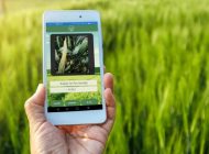 Tarım Üreticileri, Akıllı Asistan Mobil Uygulaması İle Hastalıkları Tespit Edebilecek